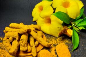 What Can I Use Instead of Turmeric?