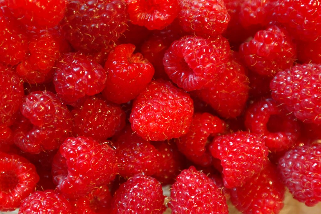 raspberries (fruit)