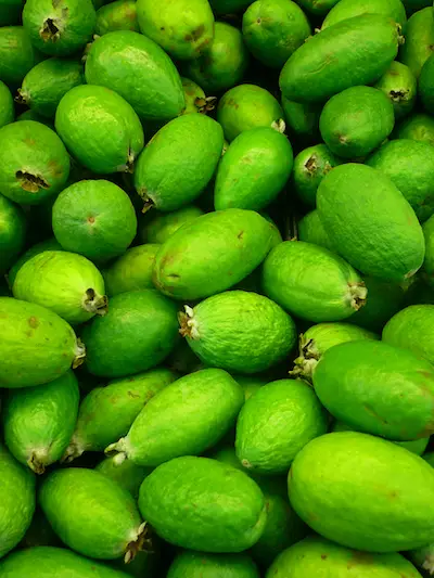 Feijoas