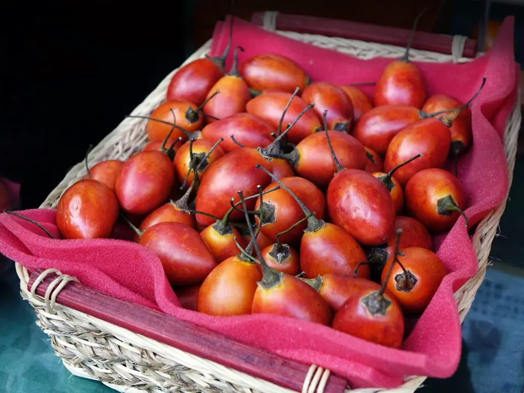 Tamarillos in a basket
