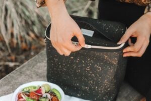 Best Insulated Lunch Bags: Top 5 Reviews & Buying Guide (2021)